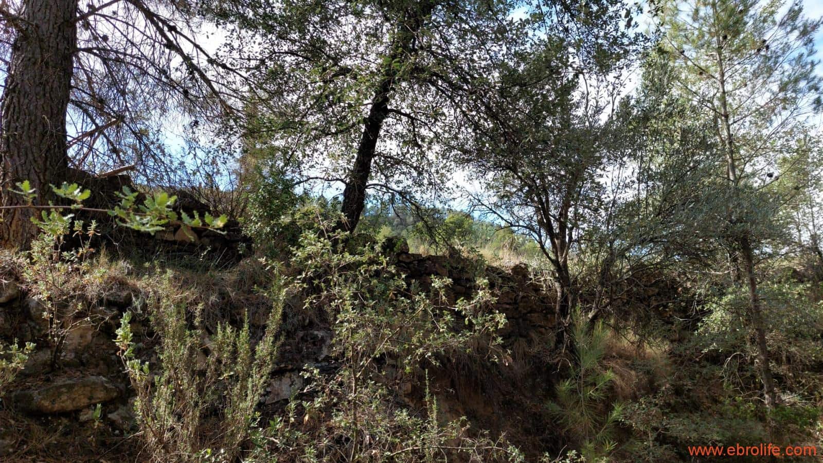 1 soveværelse Finca/Landehus til salg i Fornoles - € 70.000 (Ref: 8539772)