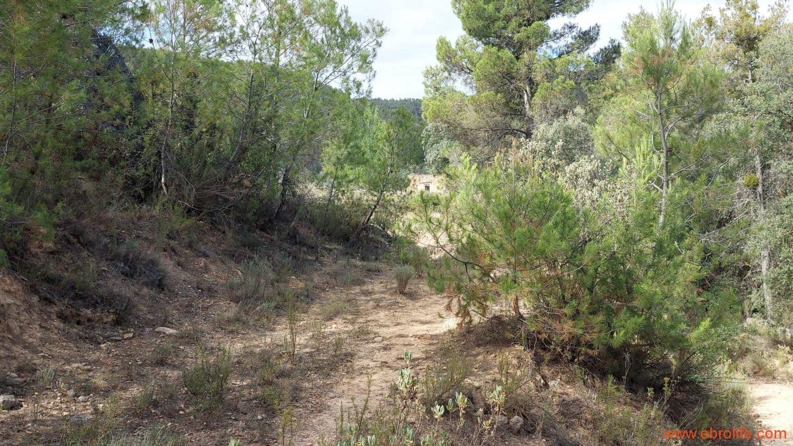 1 soveværelse Finca/Landehus til salg i Fornoles - € 70.000 (Ref: 8539772)