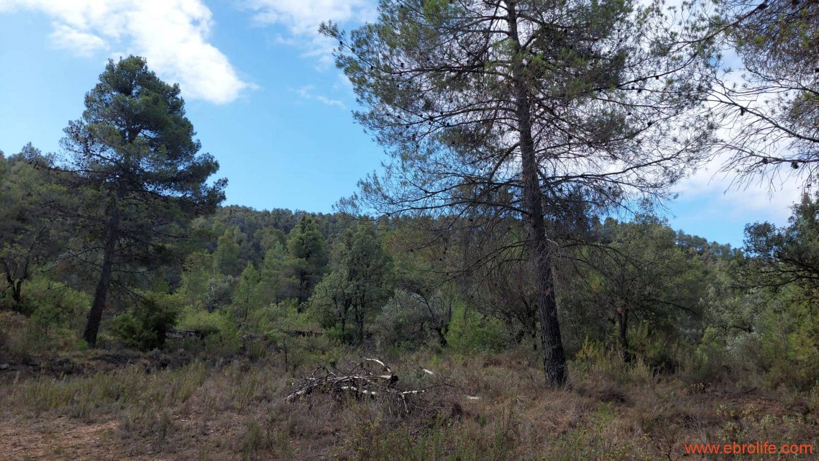 1 soveværelse Finca/Landehus til salg i Fornoles - € 70.000 (Ref: 8539772)