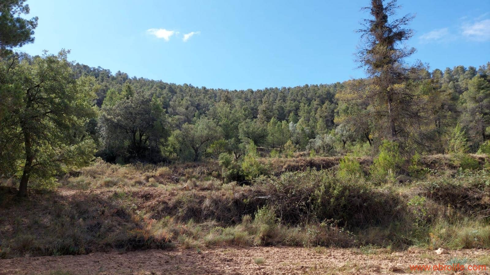 1 soveværelse Finca/Landehus til salg i Fornoles - € 70.000 (Ref: 8539772)