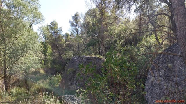 1 bedroom Finca/Country House for sale in Fórnoles - € 70,000 (Ref: 8539772)