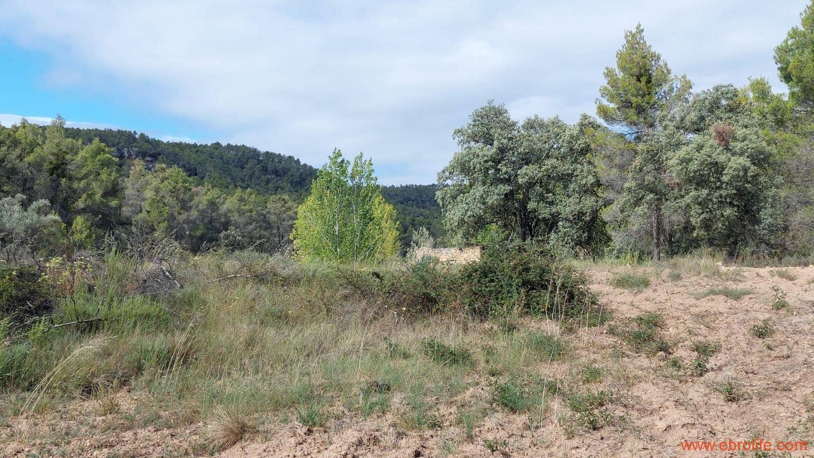 1 soveværelse Finca/Landehus til salg i Fornoles - € 70.000 (Ref: 8539772)