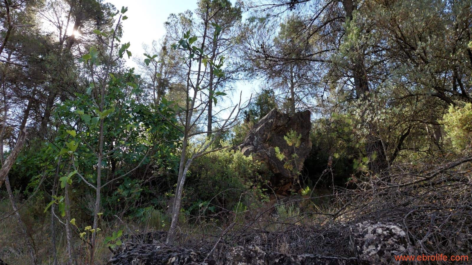 1 soveværelse Finca/Landehus til salg i Fornoles - € 70.000 (Ref: 8539772)