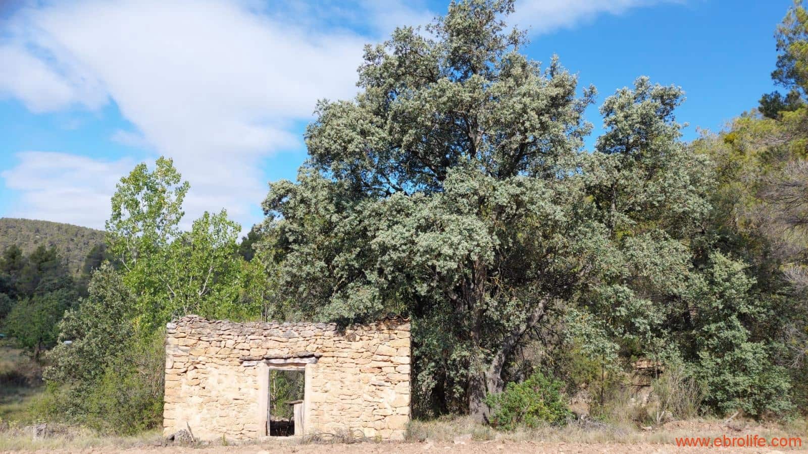 1 soveværelse Finca/Landehus til salg i Fornoles - € 70.000 (Ref: 8539772)