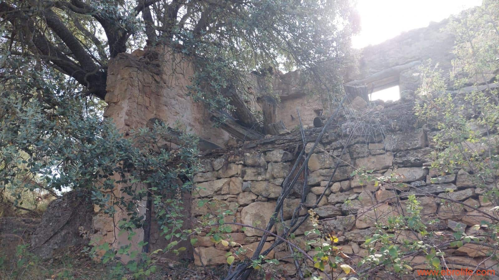 1 soveværelse Finca/Landehus til salg i Fornoles - € 70.000 (Ref: 8539772)