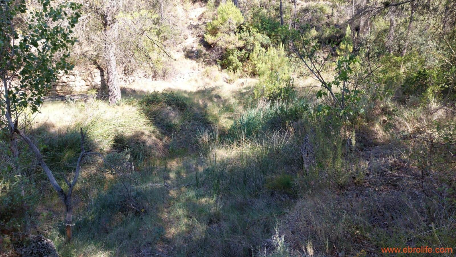 1 soveværelse Finca/Landehus til salg i Fornoles - € 70.000 (Ref: 8539772)