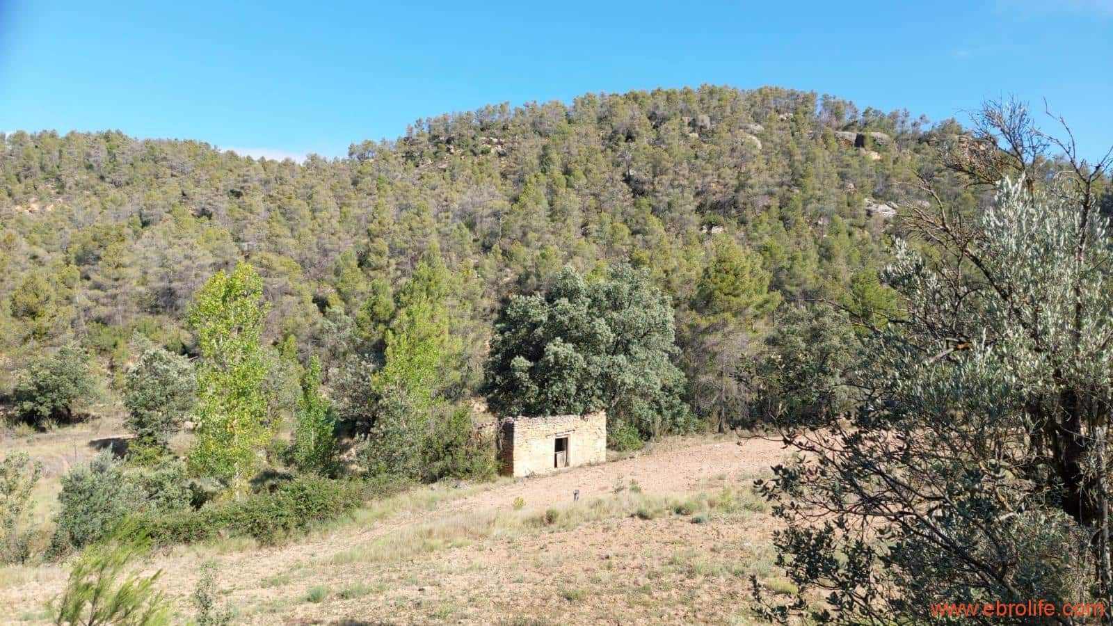 1 soveværelse Finca/Landehus til salg i Fornoles - € 70.000 (Ref: 8539772)