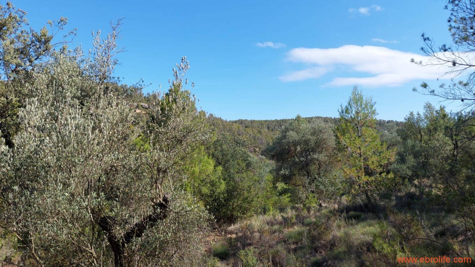 1 soveværelse Finca/Landehus til salg i Fornoles - € 70.000 (Ref: 8539772)