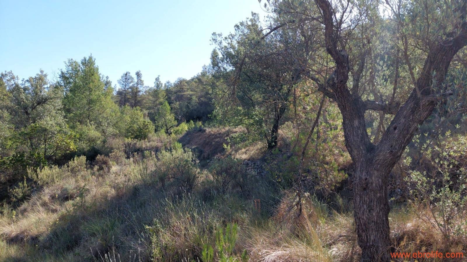 1 soveværelse Finca/Landehus til salg i Fornoles - € 70.000 (Ref: 8539772)