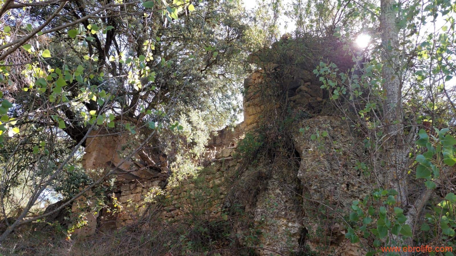 1 soveværelse Finca/Landehus til salg i Fornoles - € 70.000 (Ref: 8539772)