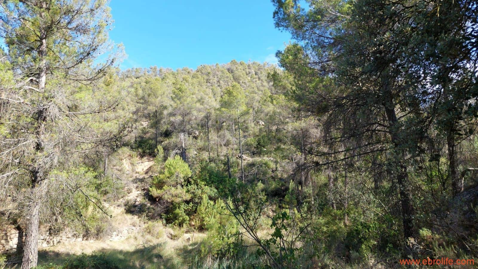 1 soveværelse Finca/Landehus til salg i Fornoles - € 70.000 (Ref: 8539772)