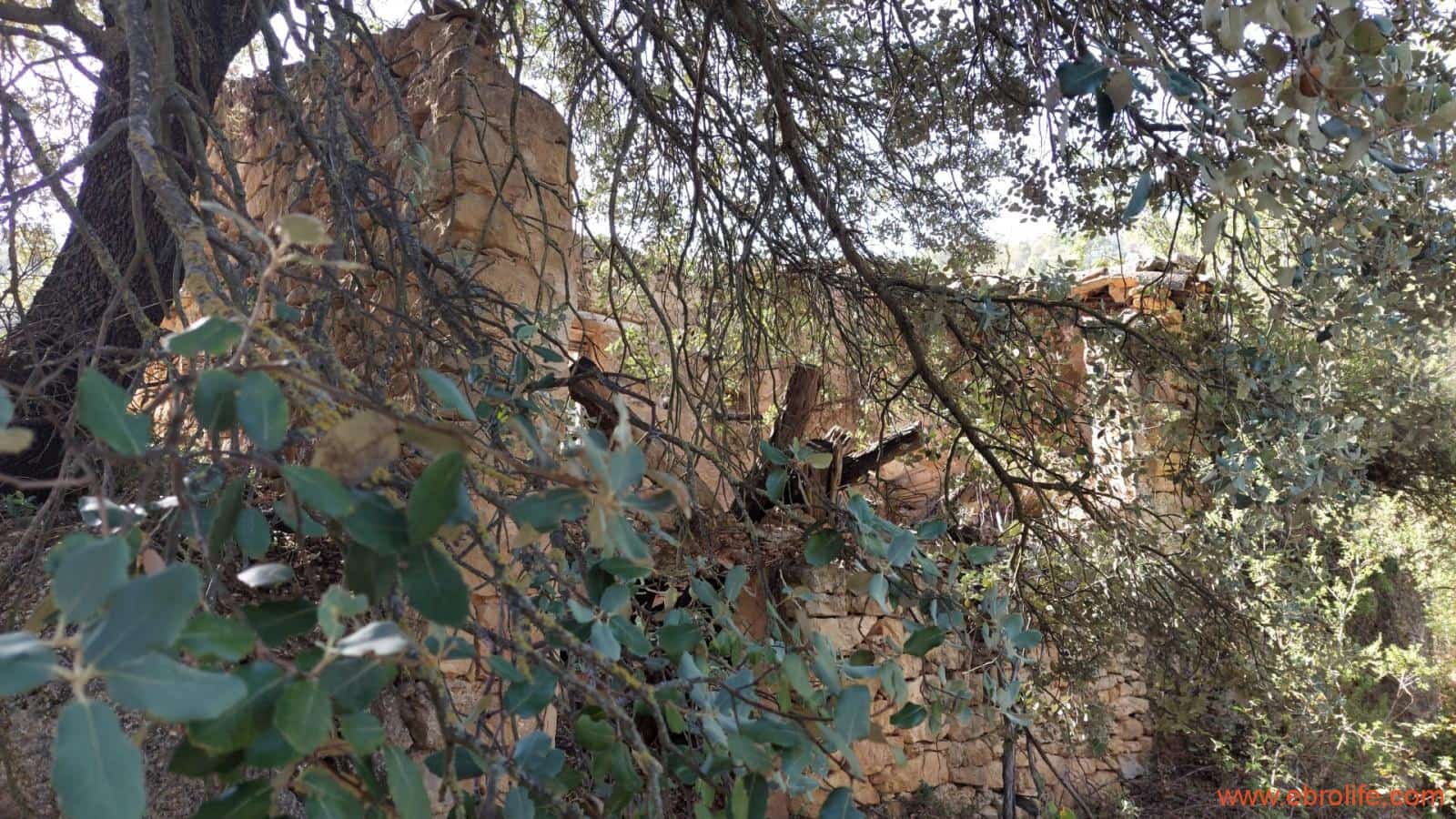 1 soveværelse Finca/Landehus til salg i Fornoles - € 70.000 (Ref: 8539772)