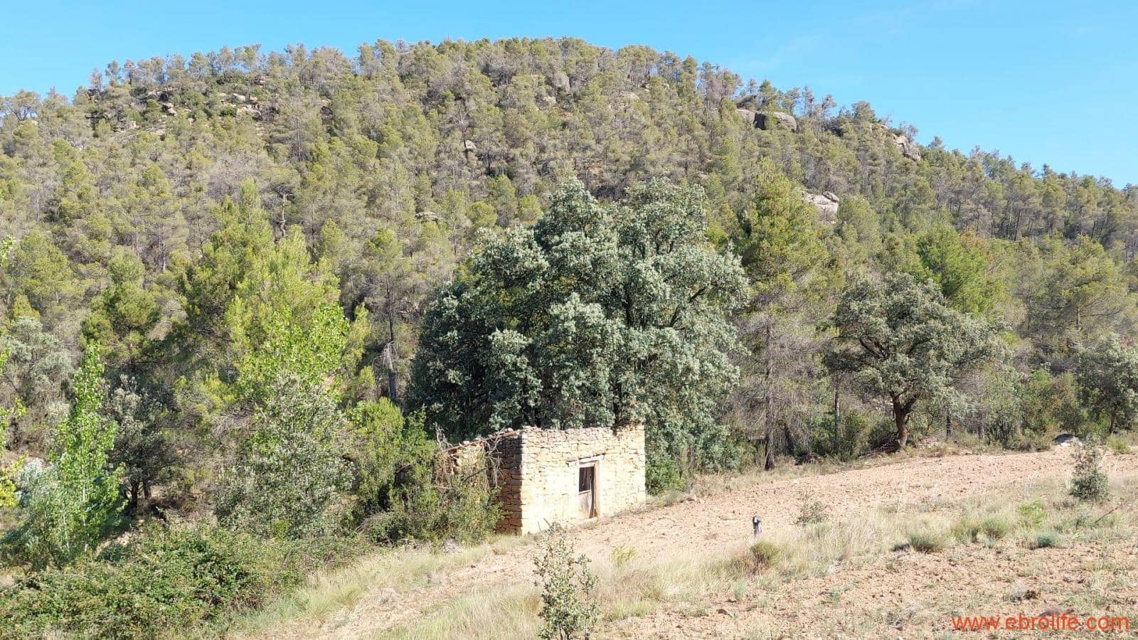 1 soveværelse Finca/Landehus til salg i Fornoles - € 70.000 (Ref: 8539772)