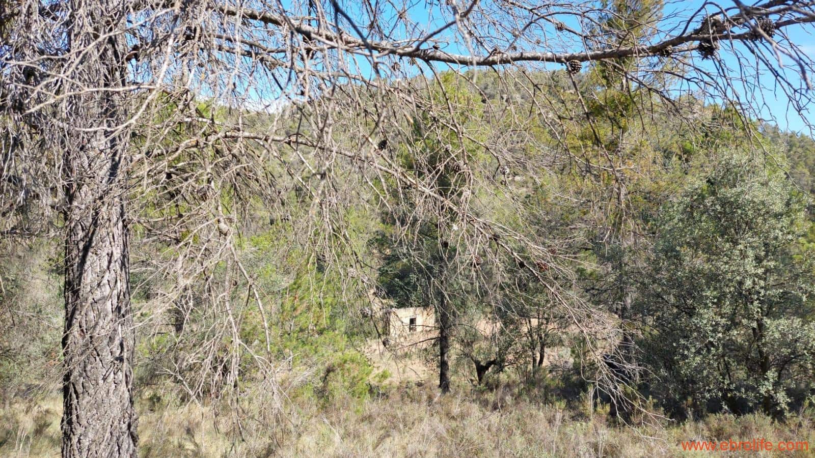 1 soveværelse Finca/Landehus til salg i Fornoles - € 70.000 (Ref: 8539772)