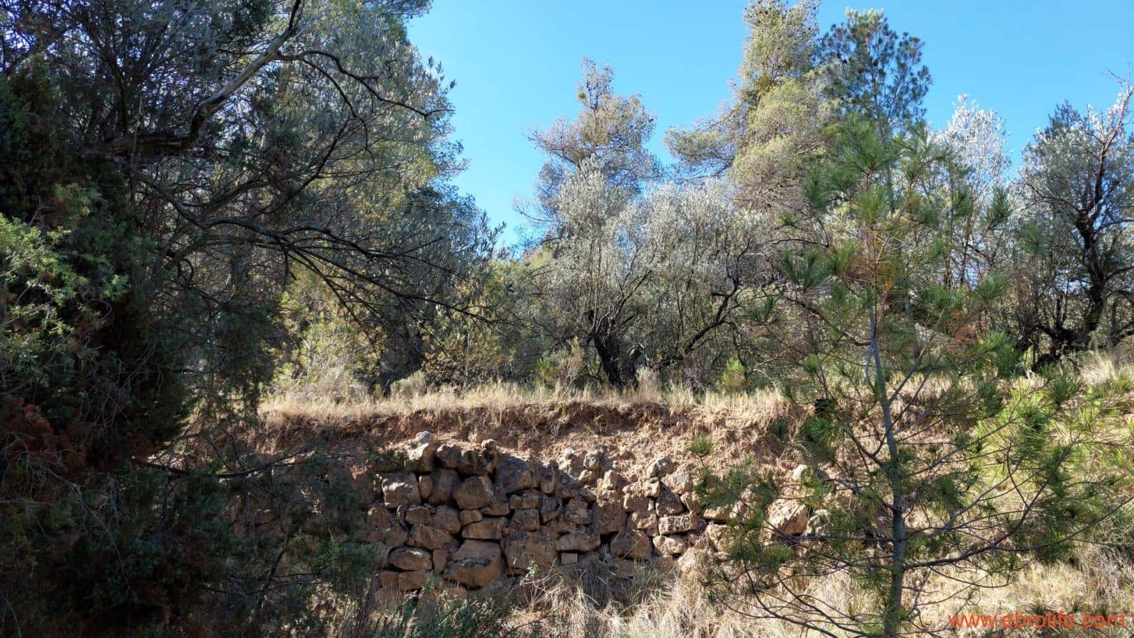 1 soveværelse Finca/Landehus til salg i Fornoles - € 70.000 (Ref: 8539772)