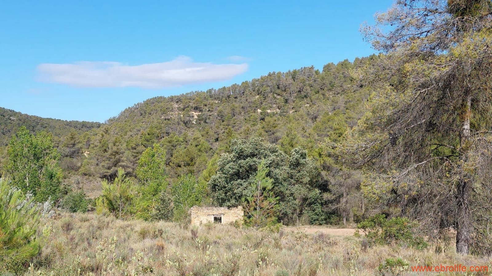 1 soveværelse Finca/Landehus til salg i Fornoles - € 70.000 (Ref: 8539772)