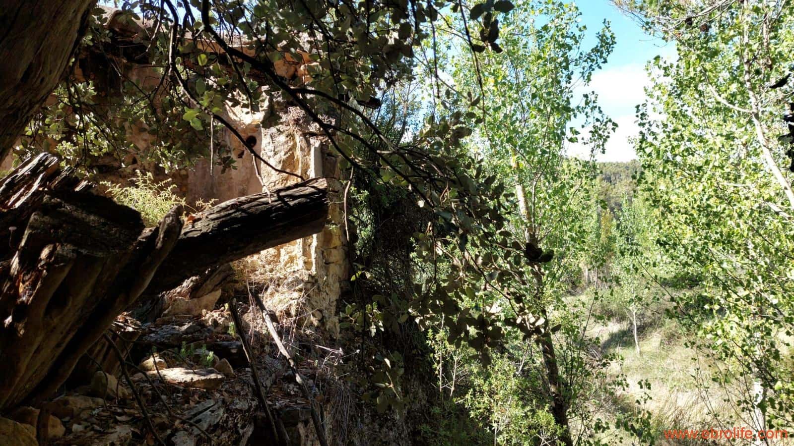 1 soveværelse Finca/Landehus til salg i Fornoles - € 70.000 (Ref: 8539772)