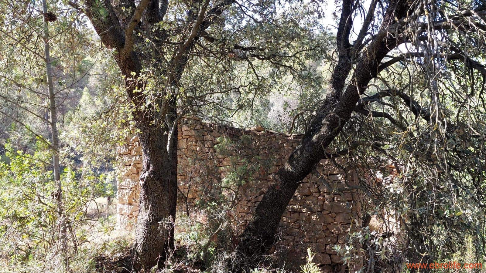 1 soveværelse Finca/Landehus til salg i Fornoles - € 70.000 (Ref: 8539772)