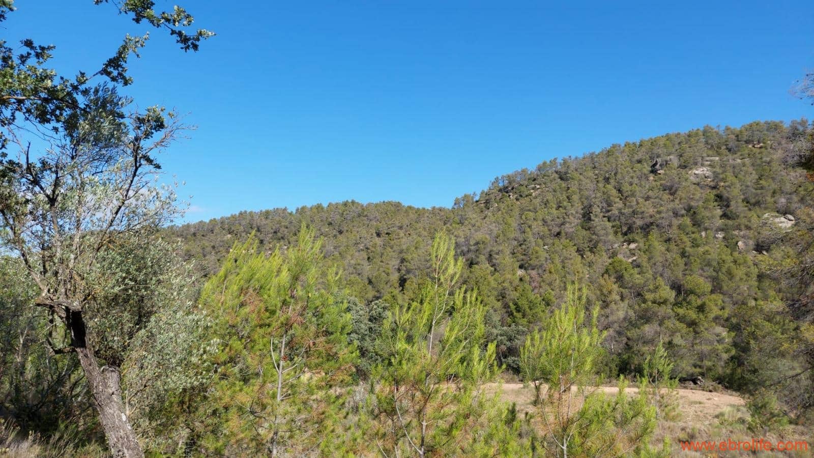 1 soveværelse Finca/Landehus til salg i Fornoles - € 70.000 (Ref: 8539772)