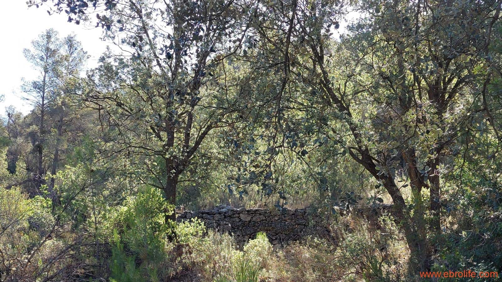 1 soveværelse Finca/Landehus til salg i Fornoles - € 70.000 (Ref: 8539772)