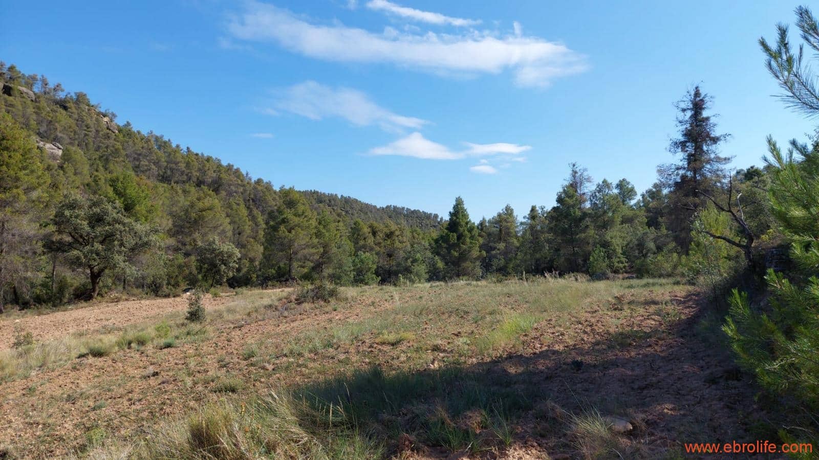 1 soveværelse Finca/Landehus til salg i Fornoles - € 70.000 (Ref: 8539772)