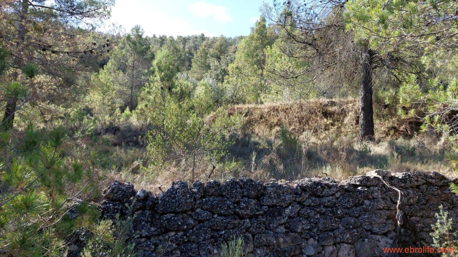 1 soveværelse Finca/Landehus til salg i Fornoles - € 70.000 (Ref: 8539772)