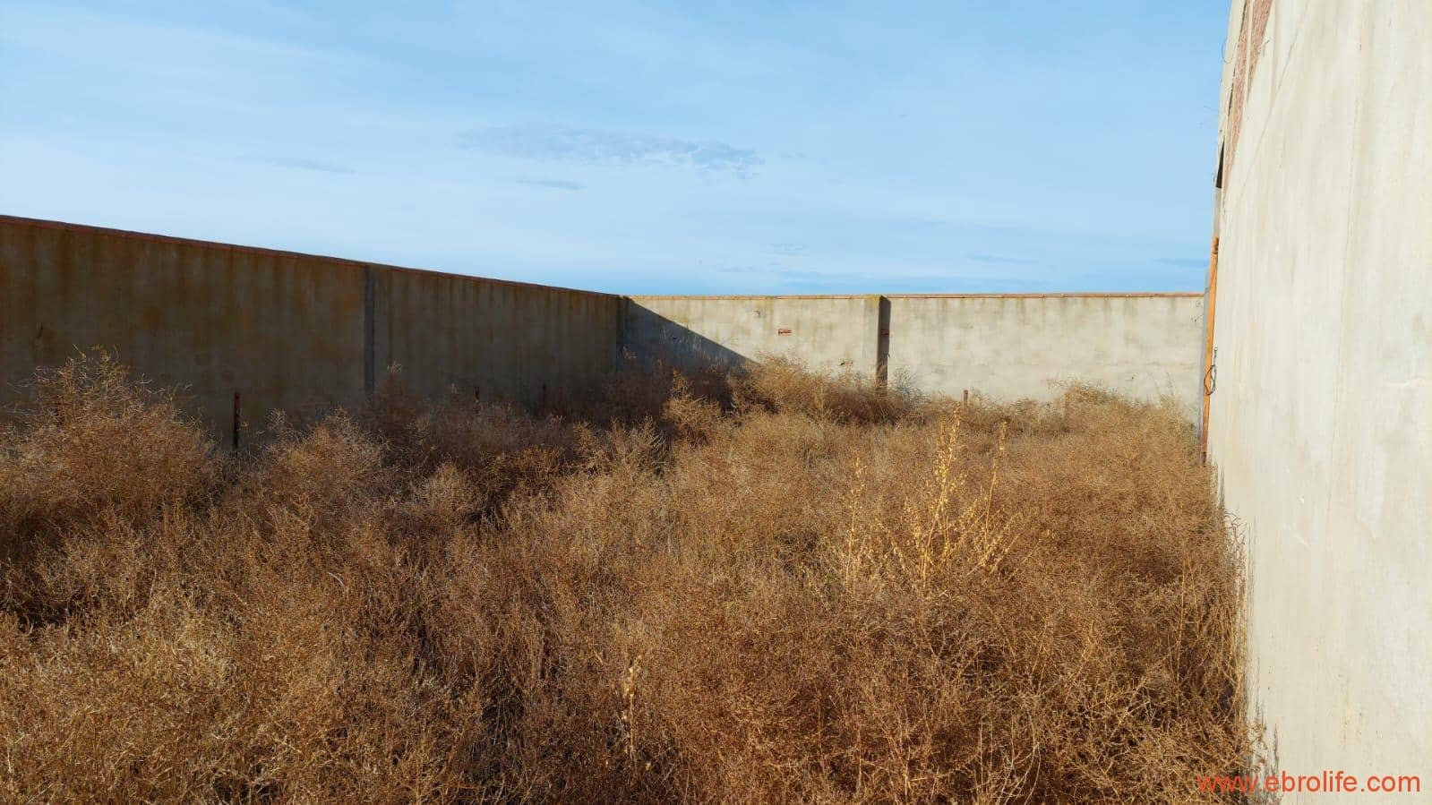 1 soveværelse Finca/Landehus til salg i Caspe - € 68.000 (Ref: 8566132)