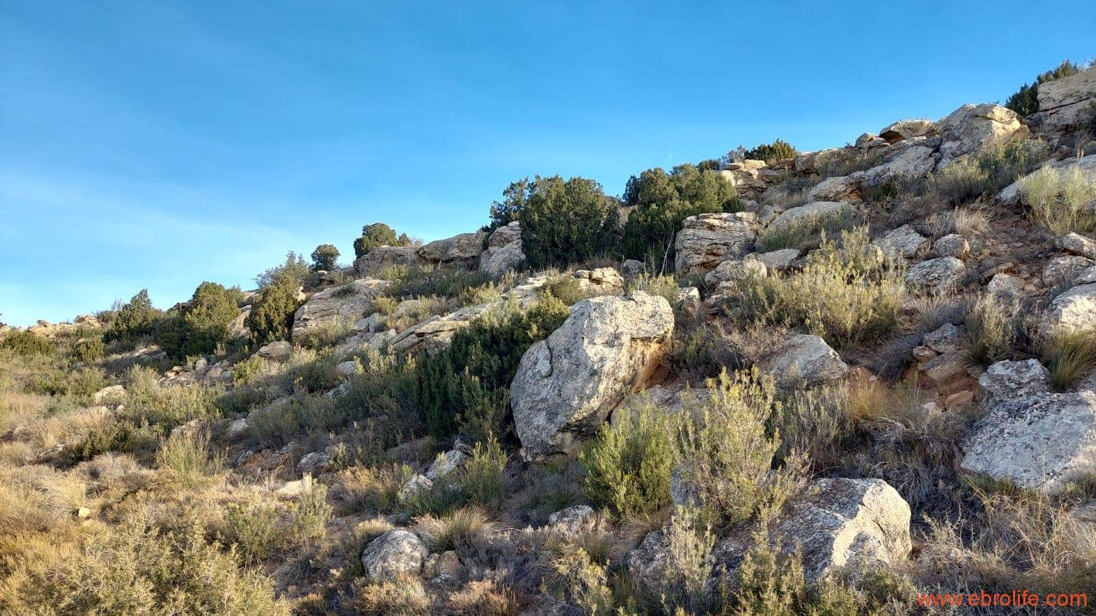 1 soveværelse Finca/Landehus til salg i Caspe - € 68.000 (Ref: 8566132)