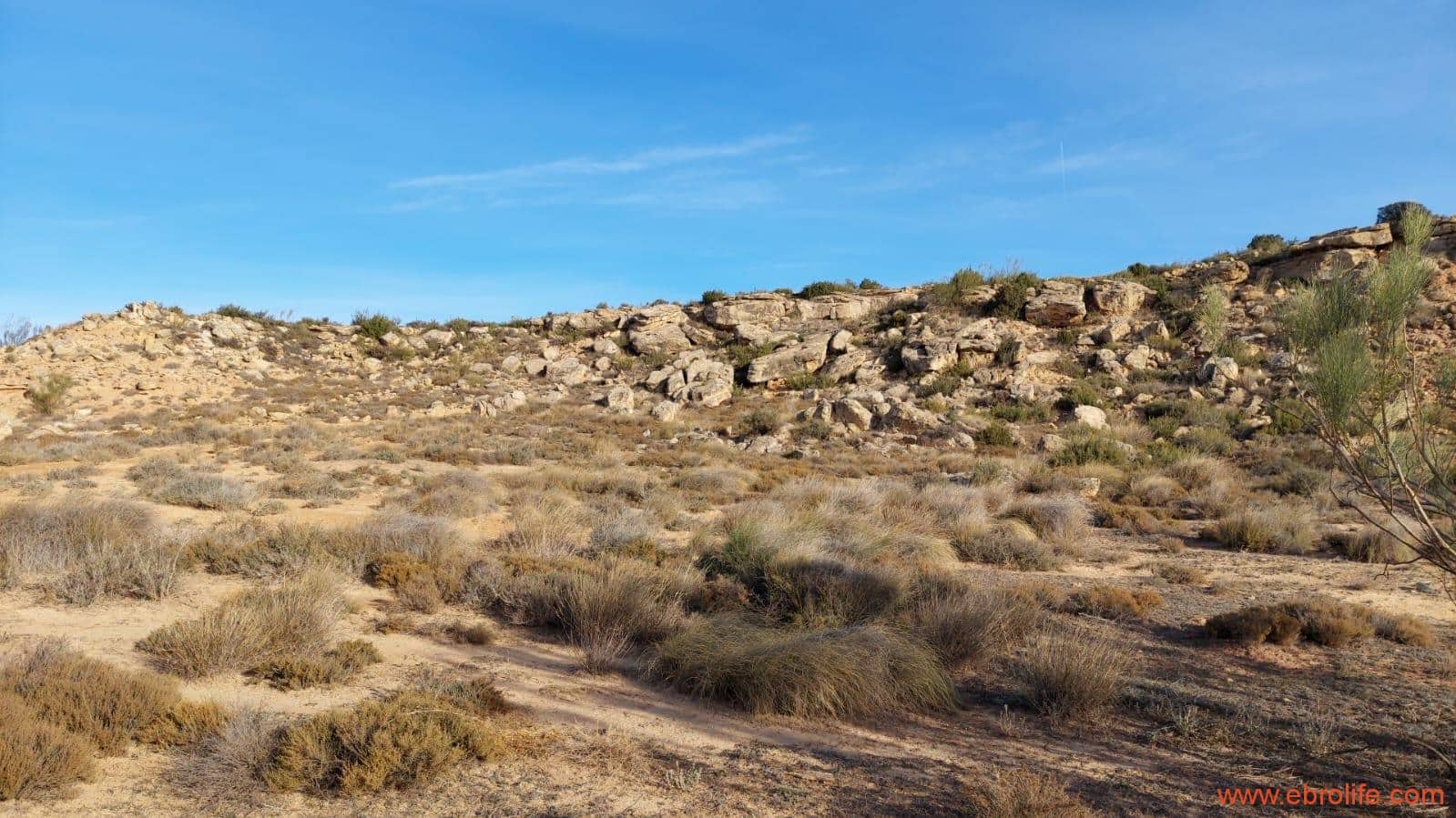 1 soveværelse Finca/Landehus til salg i Caspe - € 68.000 (Ref: 8566132)