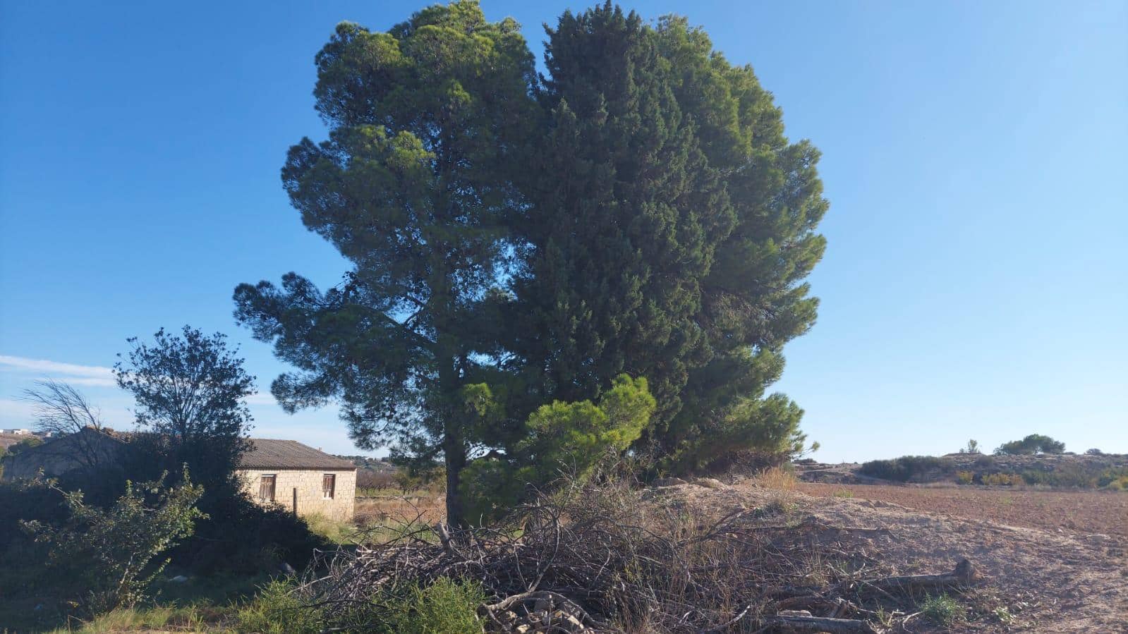 1 soveværelse Finca/Landehus til salg i Caspe - € 36.000 (Ref: 8646146)