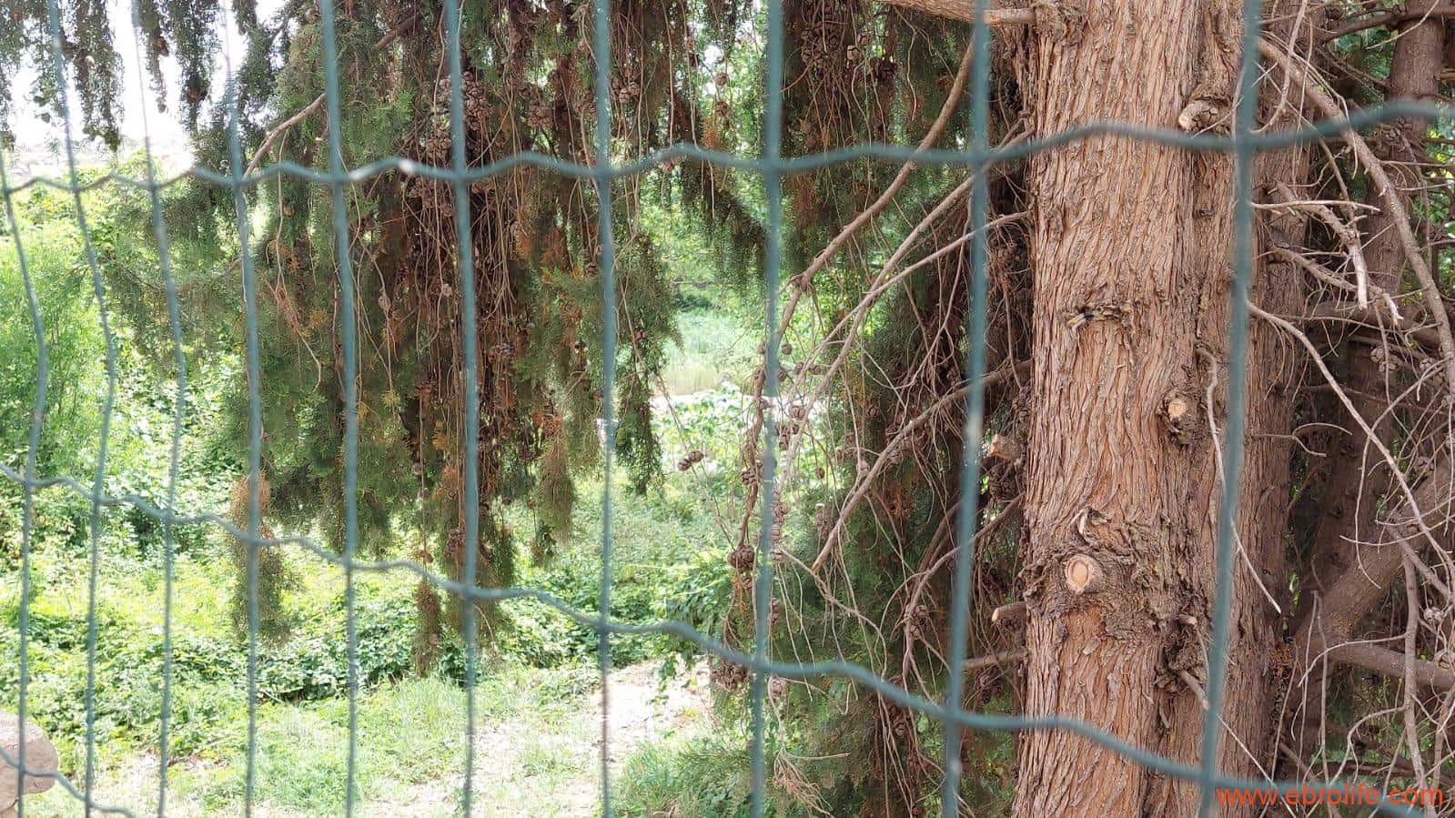 2 makuuhuone Paritalo myytävänä paikassa Castelseras - 160 000 € (Ref: 8646147)