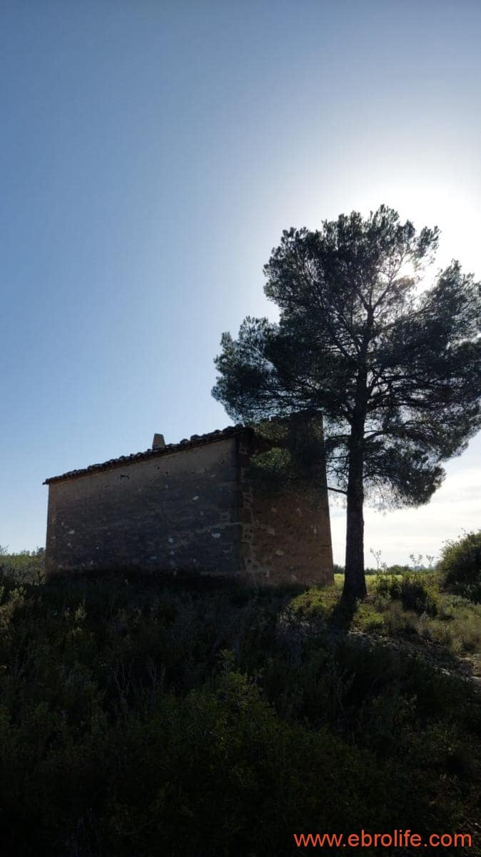 1 soveværelse Finca/Landehus til salg i Mazaleon - € 66.000 (Ref: 8646186)