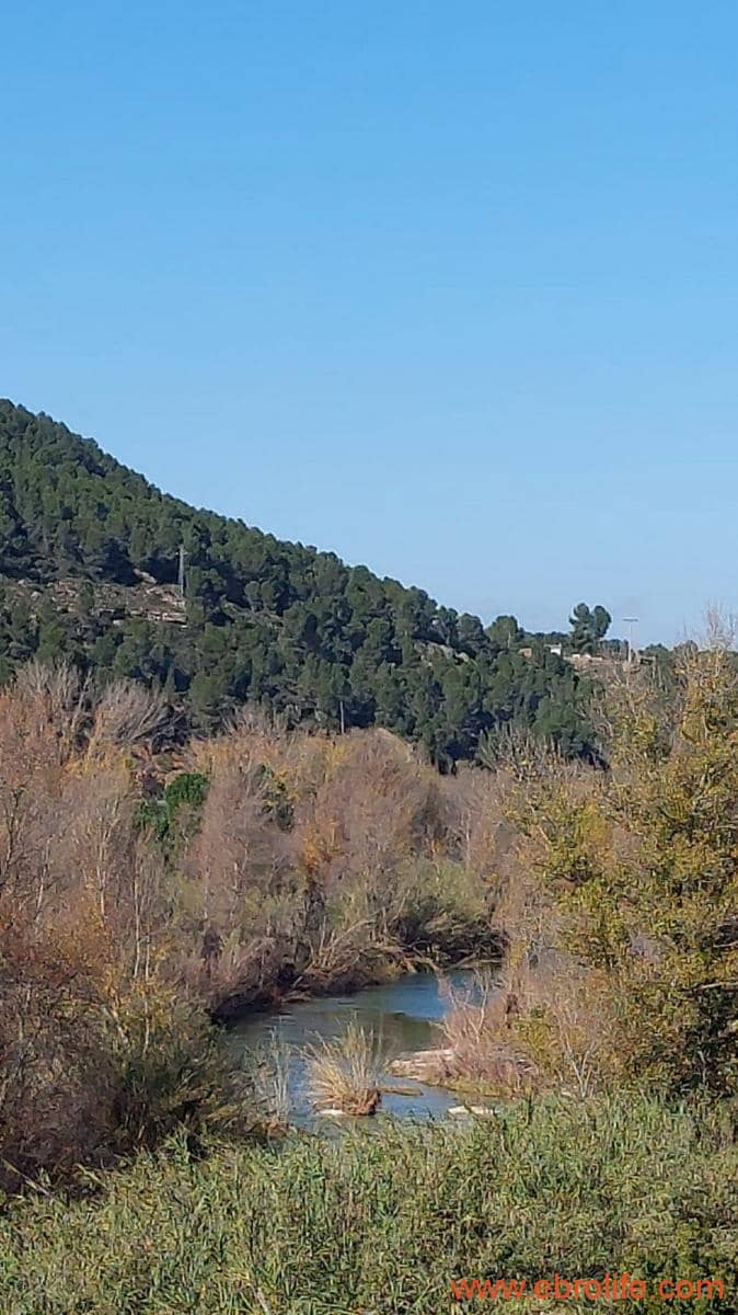 1 soveværelse Finca/Landehus til salg i Mazaleon - € 66.000 (Ref: 8646186)