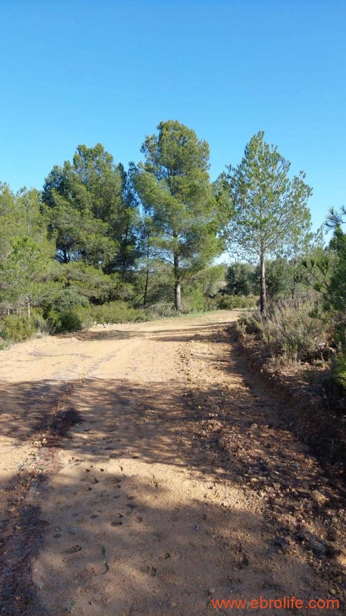 1 soveværelse Finca/Landehus til salg i Mazaleon - € 66.000 (Ref: 8646186)