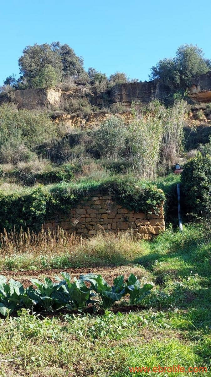 1 soveværelse Finca/Landehus til salg i Mazaleon - € 66.000 (Ref: 8646186)