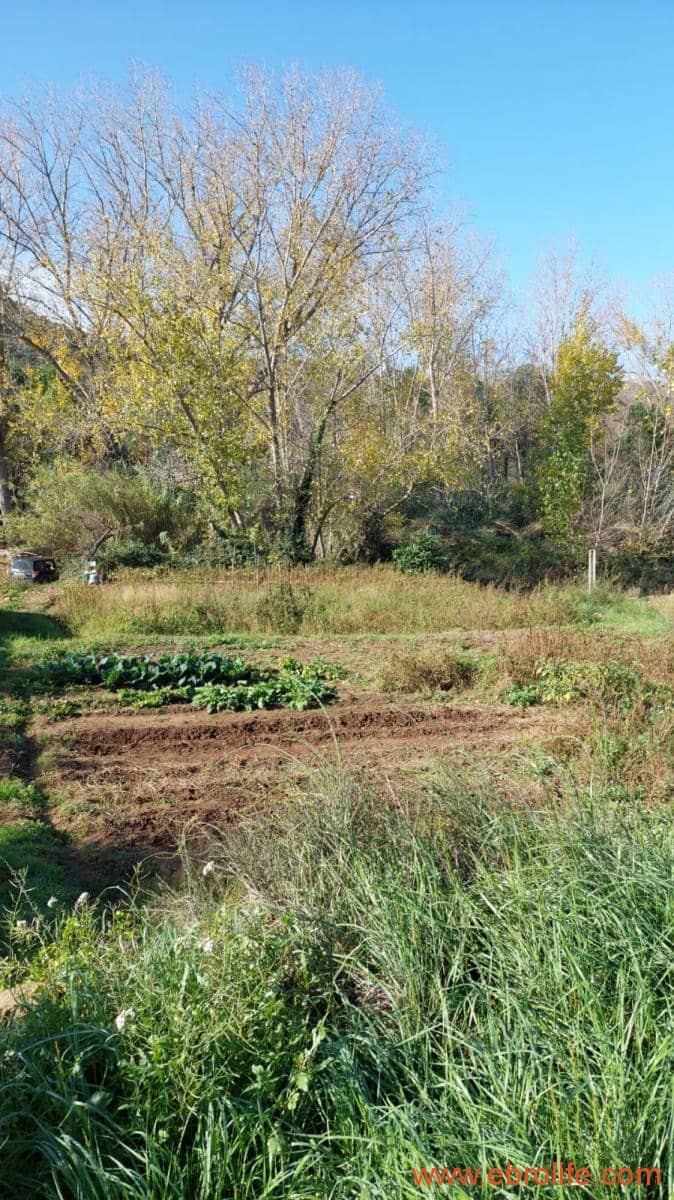 1 soveværelse Finca/Landehus til salg i Mazaleon - € 66.000 (Ref: 8646186)