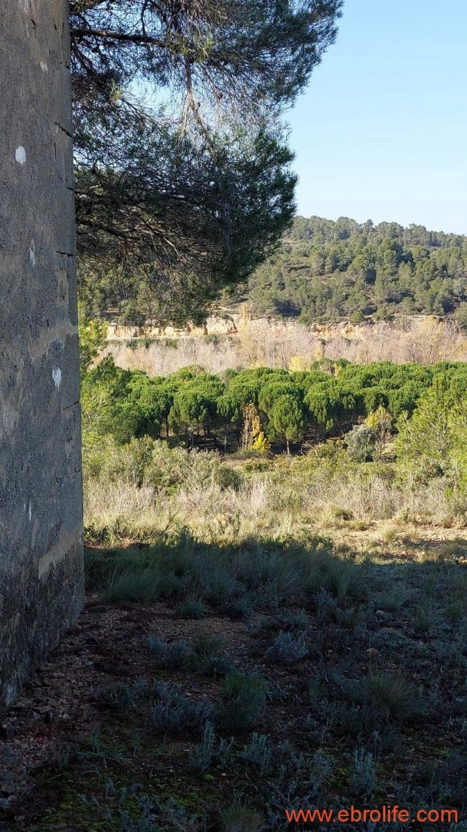 1 soveværelse Finca/Landehus til salg i Mazaleon - € 66.000 (Ref: 8646186)