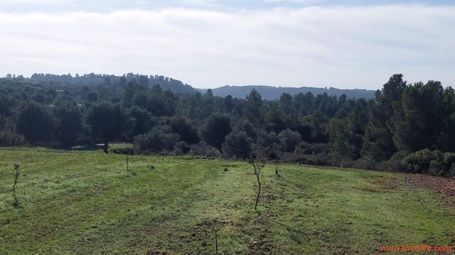 Finca/Casa Rural de 1 habitación en Mazaleón en venta - 66.000 € (Ref: 8646186)