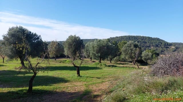 Finca/Casa Rural de 1 habitación en Mazaleón en venta - 66.000 € (Ref: 8646186)