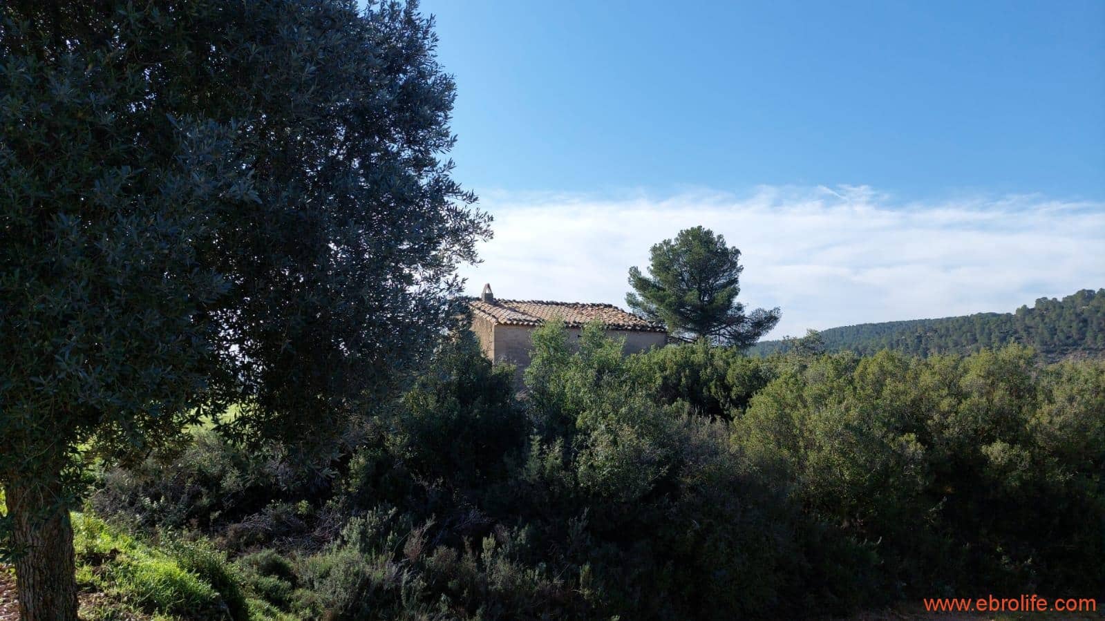 1 soveværelse Finca/Landehus til salg i Mazaleon - € 66.000 (Ref: 8646186)