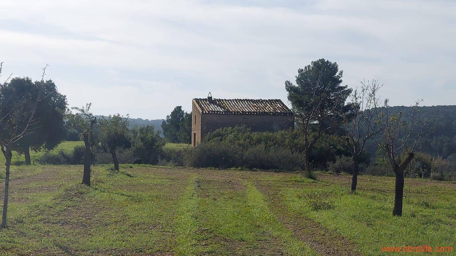 1 soveværelse Finca/Landehus til salg i Mazaleon - € 66.000 (Ref: 8646186)