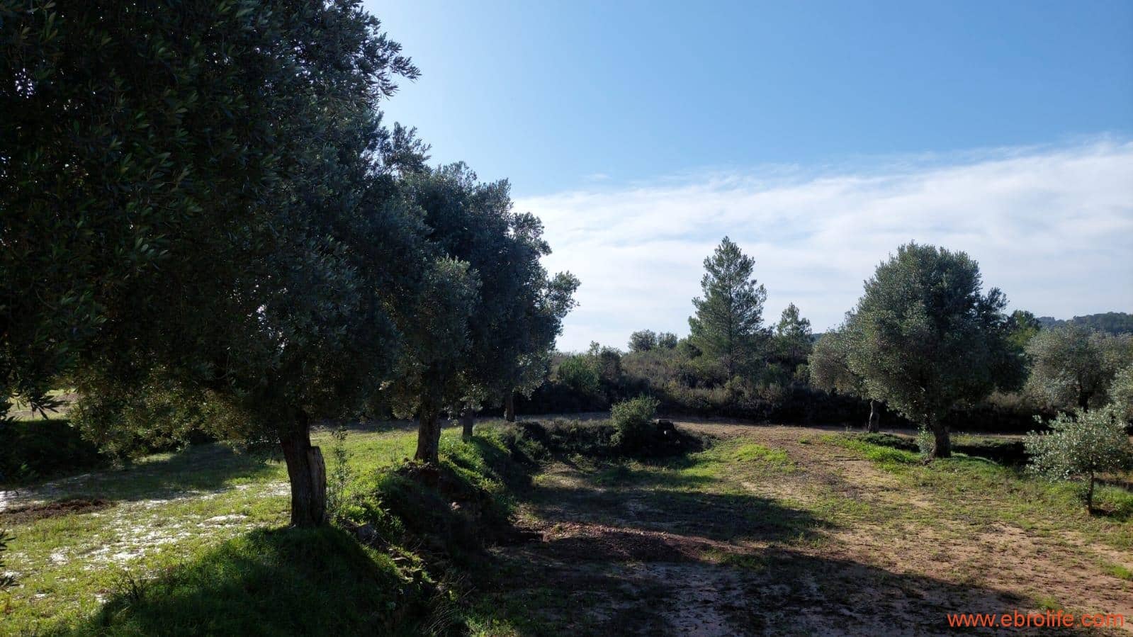 1 soveværelse Finca/Landehus til salg i Mazaleon - € 66.000 (Ref: 8646186)