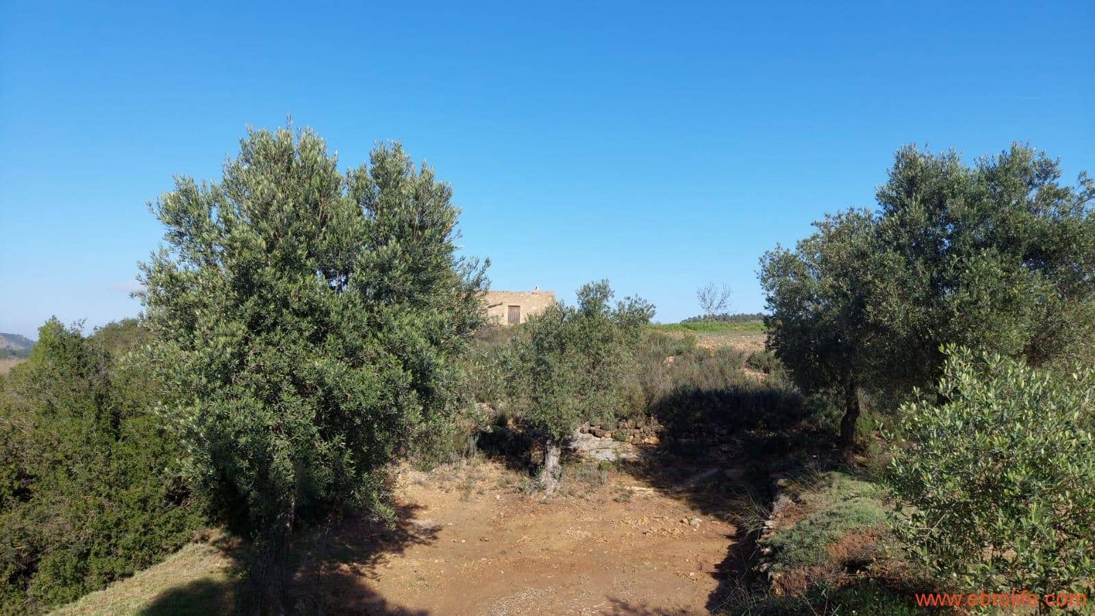 1 soveværelse Finca/Landehus til salg i Mazaleon - € 66.000 (Ref: 8646186)