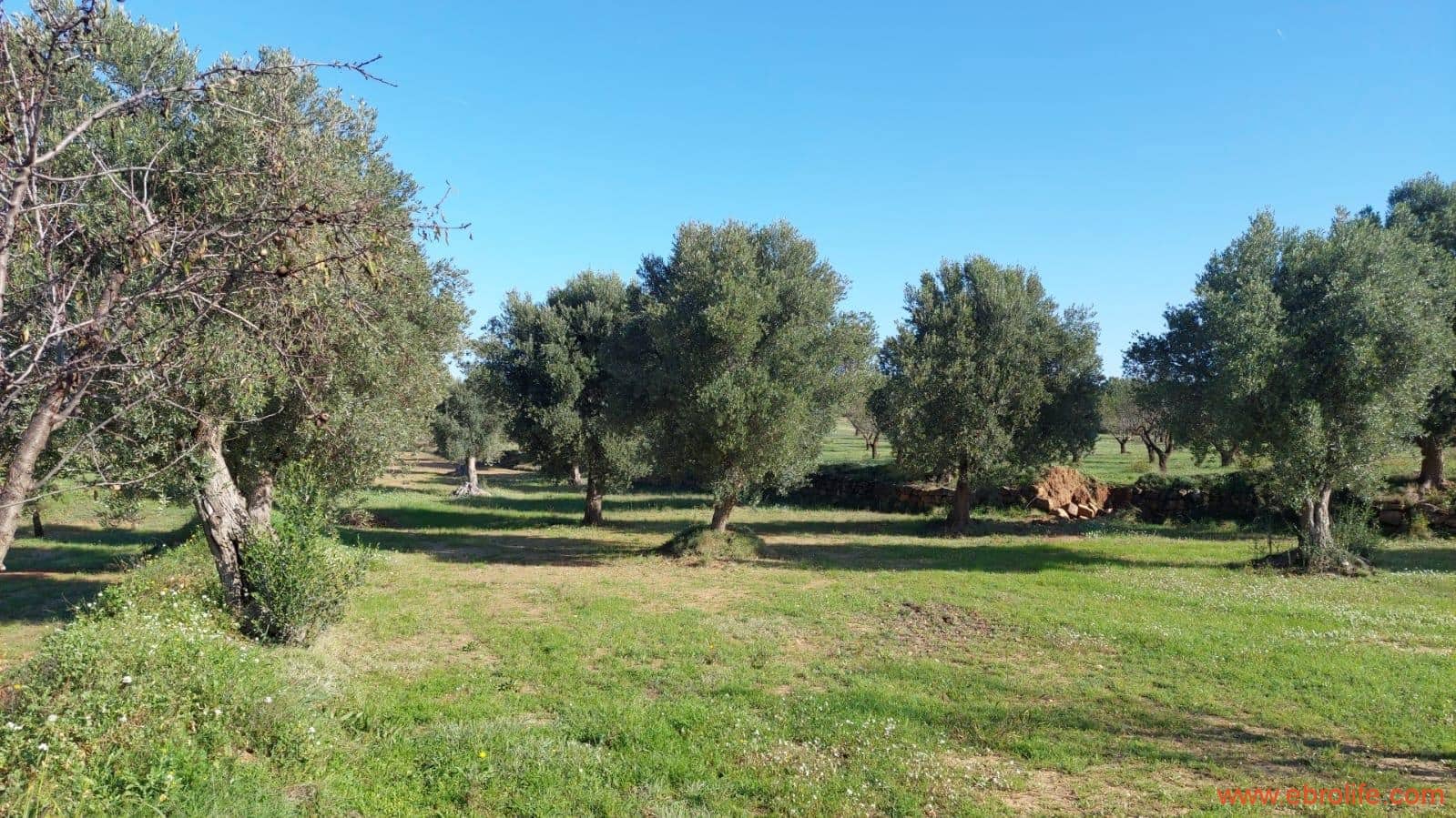 1 soveværelse Finca/Landehus til salg i Mazaleon - € 66.000 (Ref: 8646186)