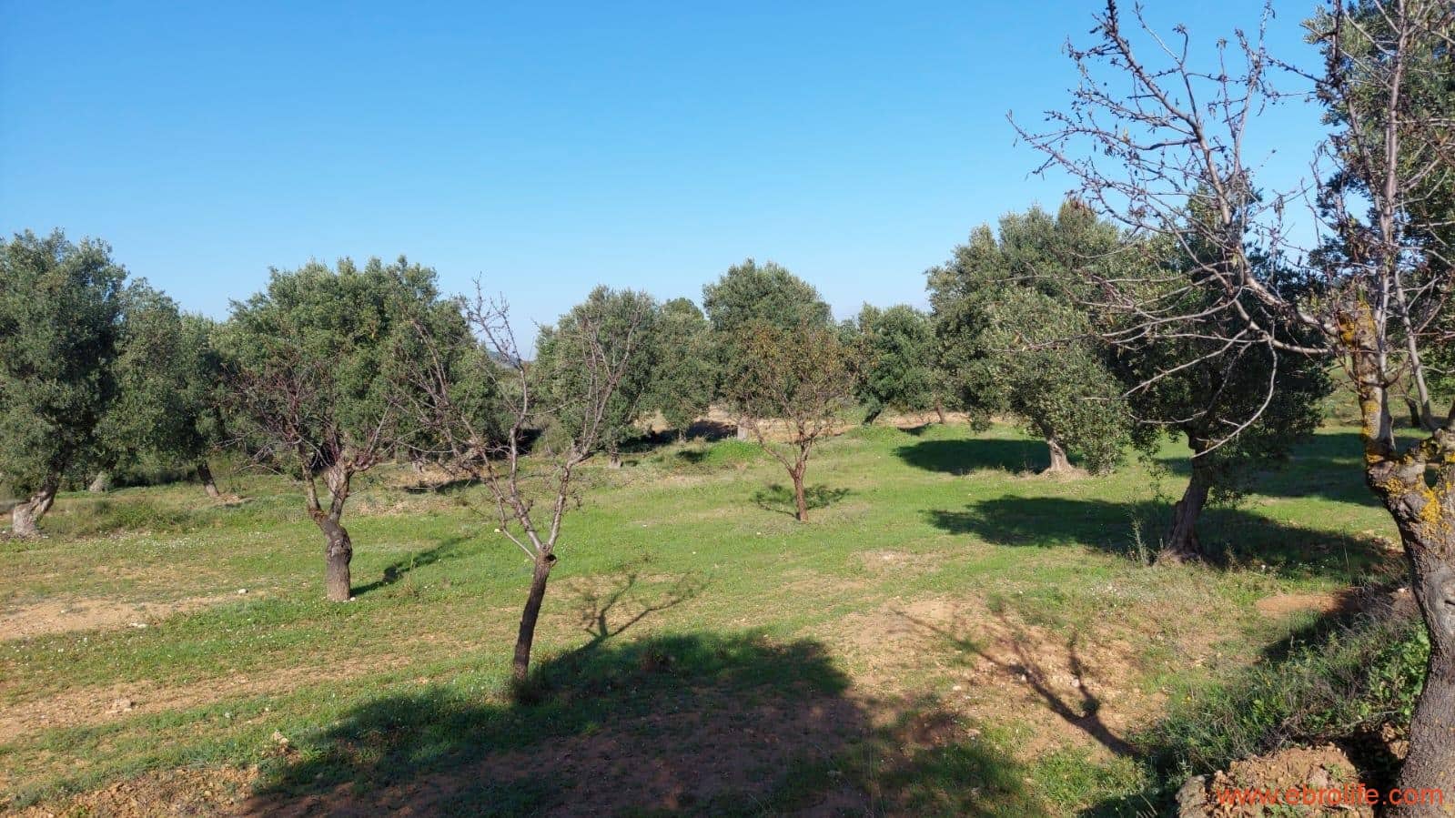 1 soveværelse Finca/Landehus til salg i Mazaleon - € 66.000 (Ref: 8646186)