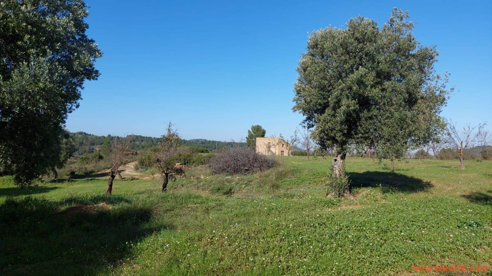 1 soveværelse Finca/Landehus til salg i Mazaleon - € 66.000 (Ref: 8646186)