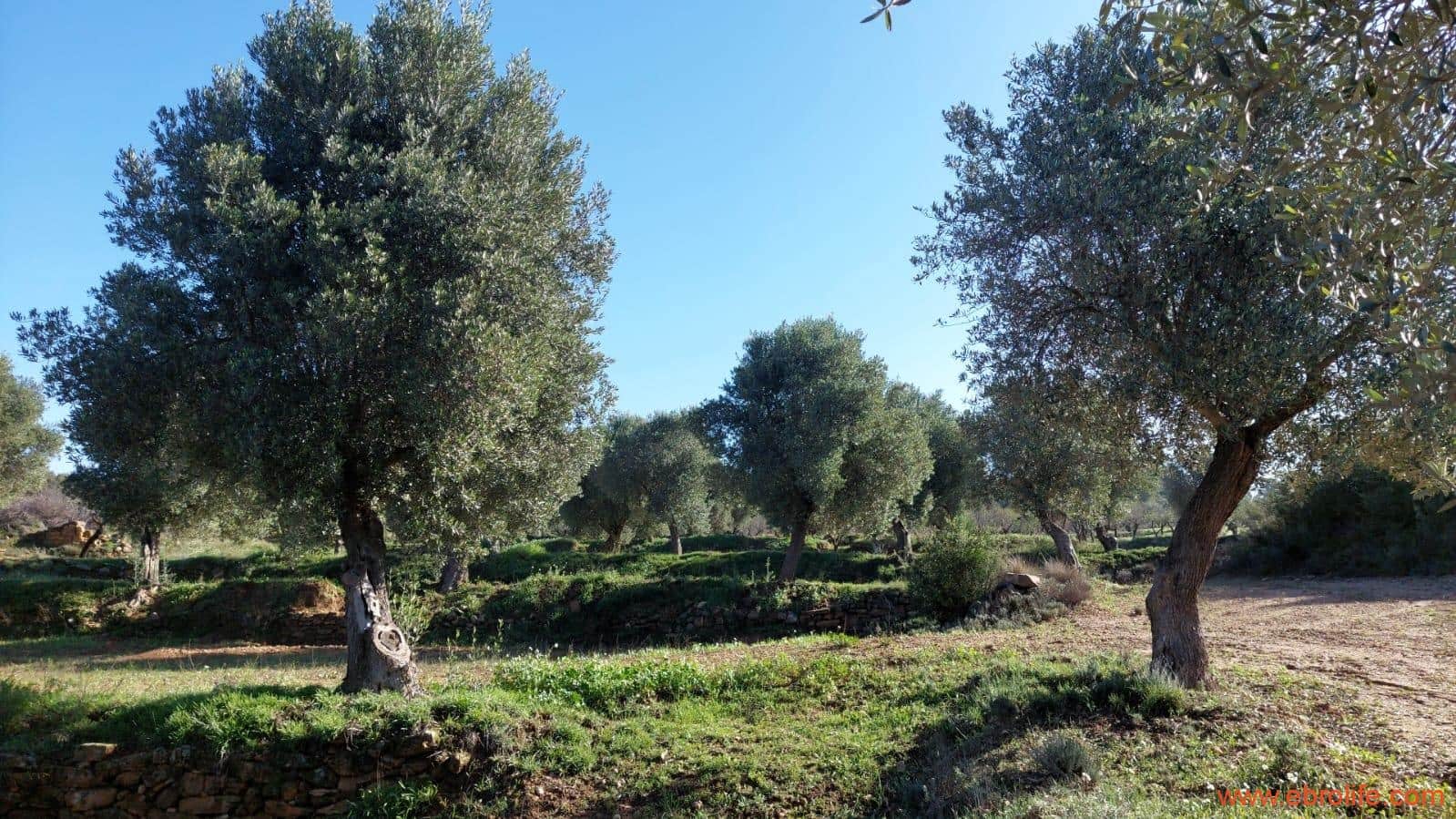 1 soveværelse Finca/Landehus til salg i Mazaleon - € 66.000 (Ref: 8646186)