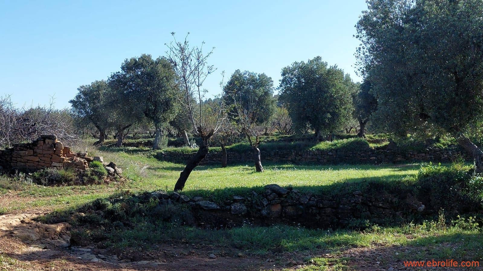 1 soveværelse Finca/Landehus til salg i Mazaleon - € 66.000 (Ref: 8646186)