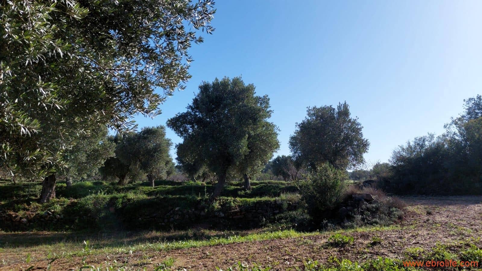 1 soveværelse Finca/Landehus til salg i Mazaleon - € 66.000 (Ref: 8646186)