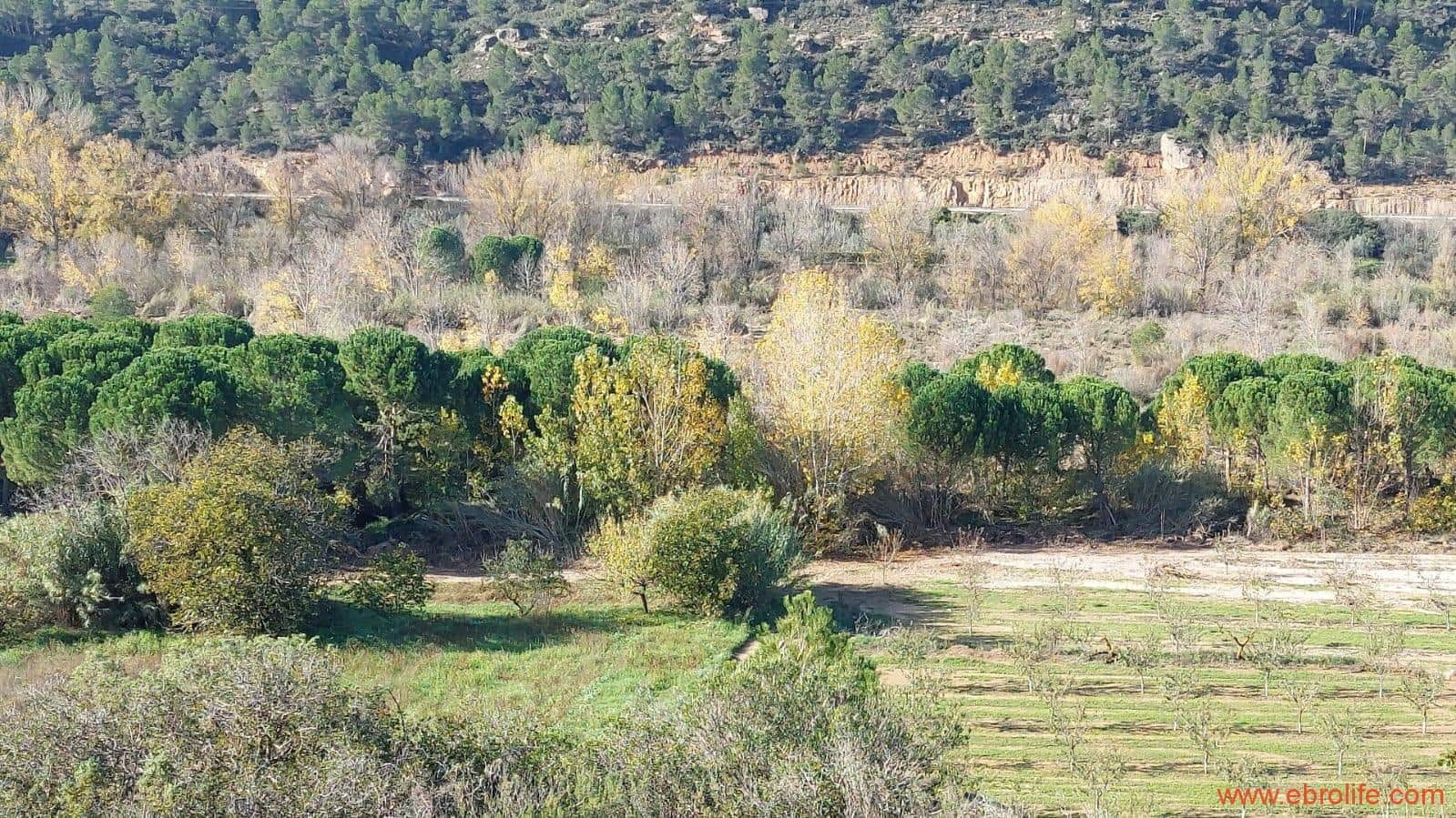 1 soveværelse Finca/Landehus til salg i Mazaleon - € 66.000 (Ref: 8646186)